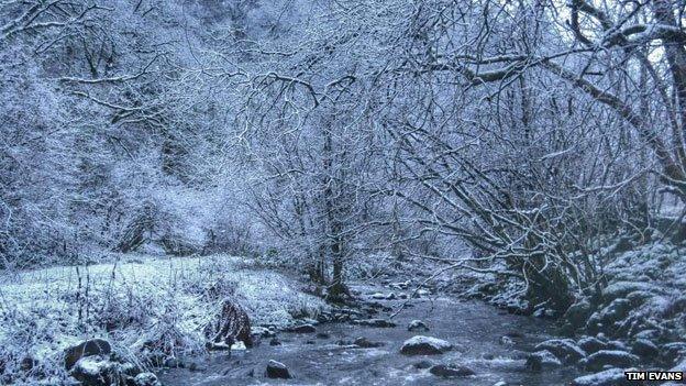 Snow landscape