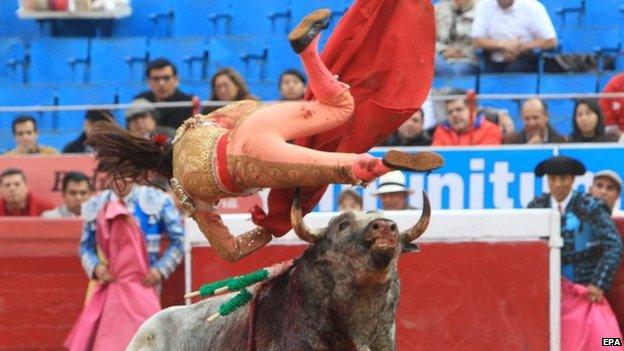 Karla de los Angeles is gored by a bull at the Plaza Mexico bullring in Mexico City on 28 December 2014.