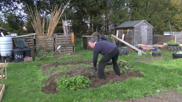 Allotment