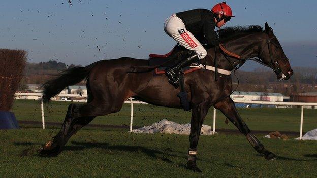 Sprinter Sacre at Newbury