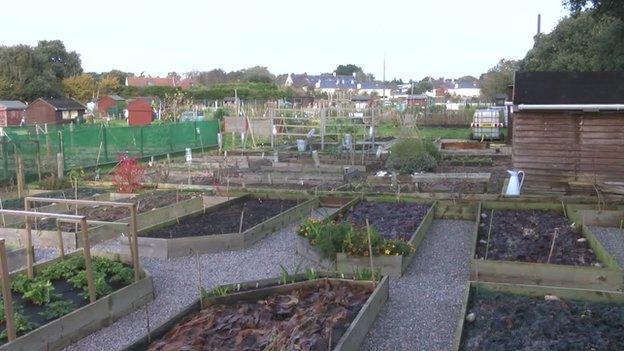 Allotment