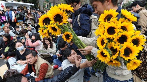 A volunteer provides sunflowers to student protesters as a sign of support, outside the parliament as ongoing protests by thousands of people continue for another day in Taipei on 22 March, 2014