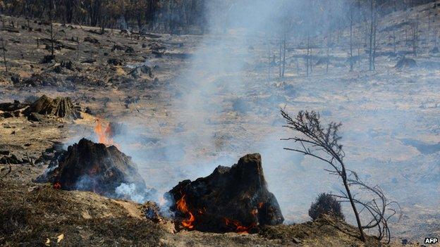 A small fire burns after a bushfire moved through the area near One Tree Hill in the Adelaide Hills on January 5, 2015