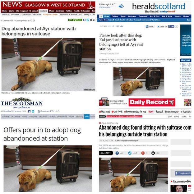 Scotland media coverage of Kai