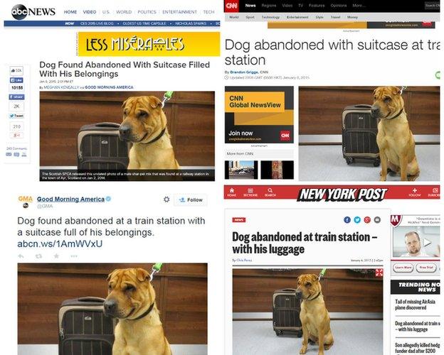 Media coverage of Kai