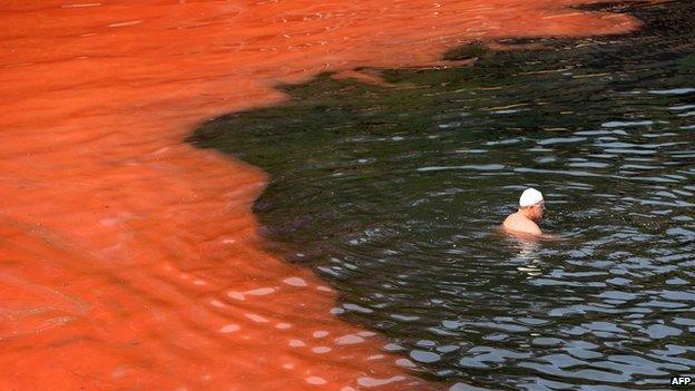 A man swims in the sea with a red algae bloom discolouring the water behind him in Sydney