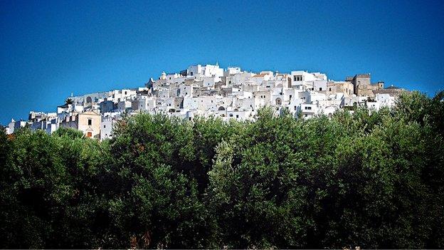 Olive trees and town, Puglia (Image: BBC)