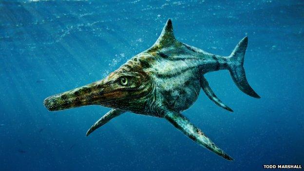 New species of marine reptile