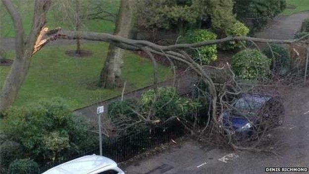 Storm damage in central Edinburgh