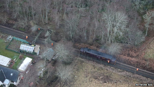 downed trees at dingwall