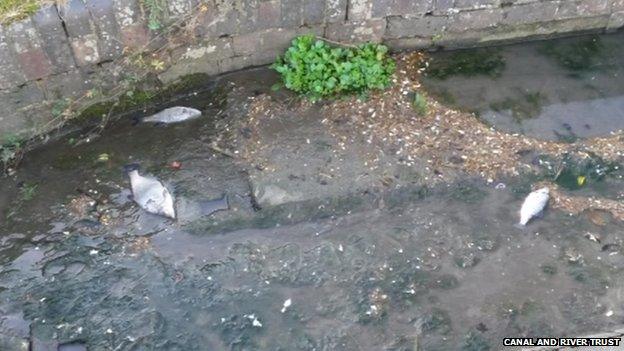 Grand Union Canal Leicester line