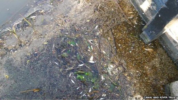 Grand Union Canal Leicester line