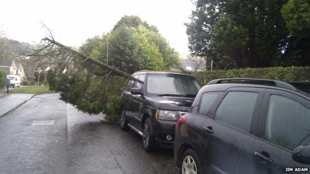 Tree on road at Dalry, Ayrshire