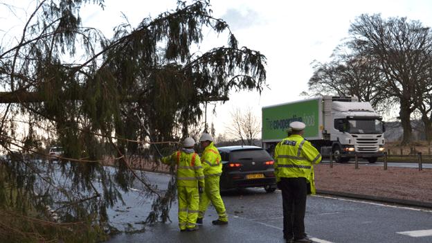 Engineers at tree over road