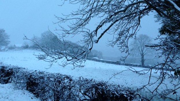 Snow covered field