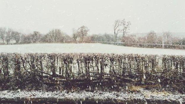 Snow at Cors Caron Nature Reserve, Ceredigion