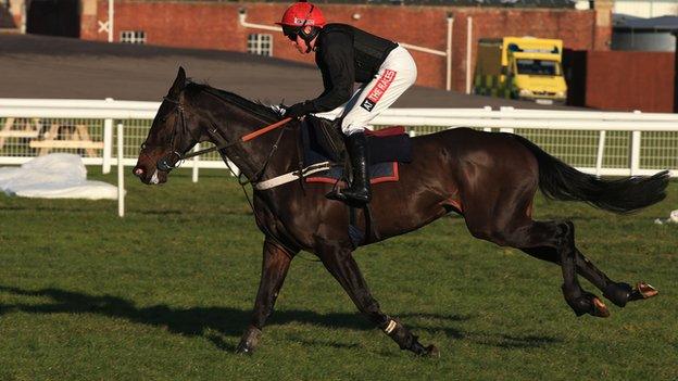 Sprinter Sacre at Newbury last month