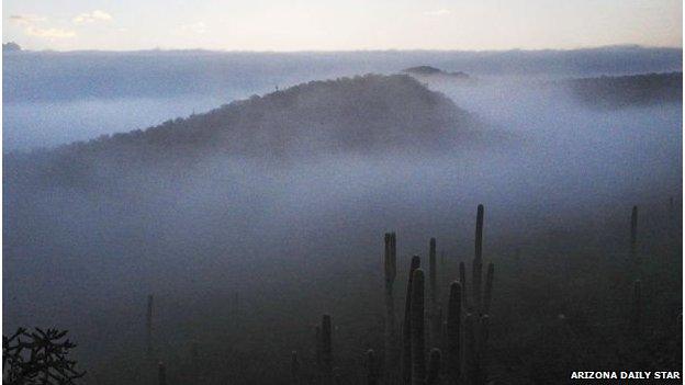 Arizona desert in the fog