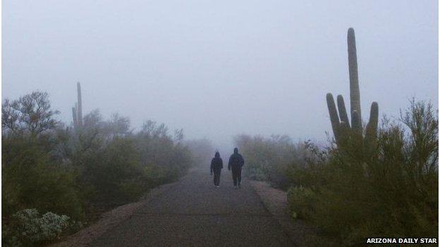 Desert in the fog