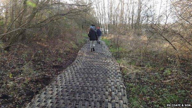 Trackway at Shapwick Heath nature reserve