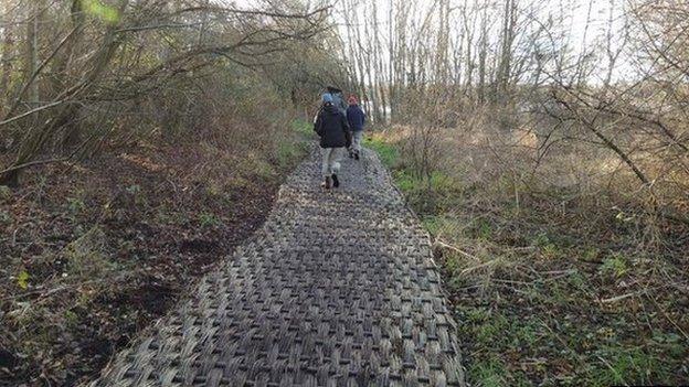 Trackway at Shapwick Heath nature reserve