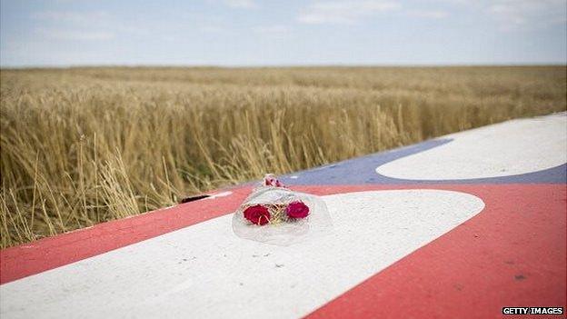 MH17 wreckage