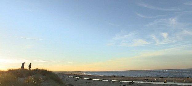 Pupping beach at Blakeney Point