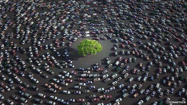Cars encircling a tree