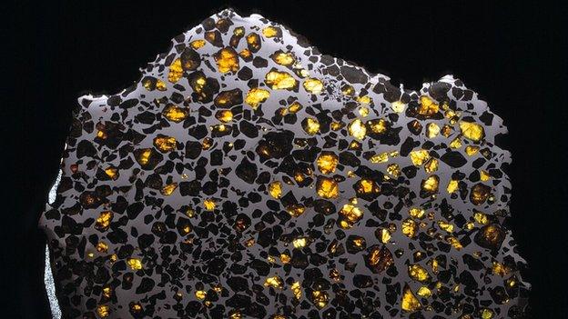 Pallasite meteorite