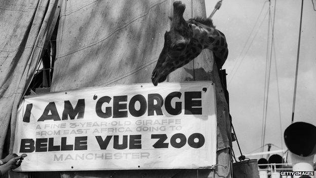 Belle Vue Zoological Gardens