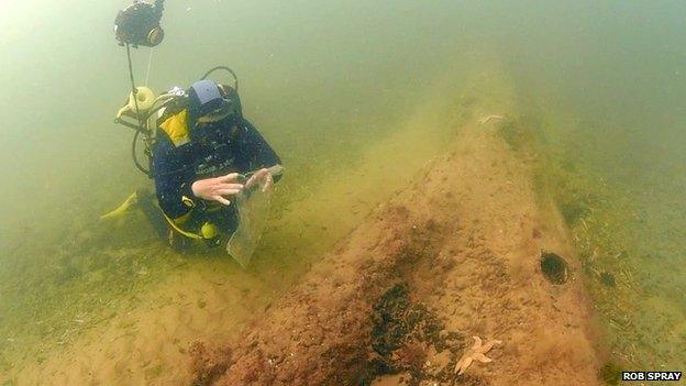 A diver explores the underwater forest