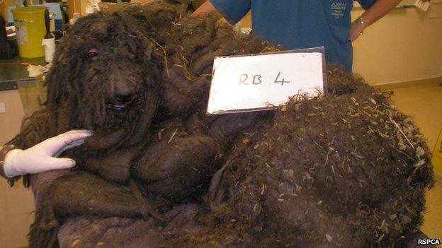 Kate before she was clipped