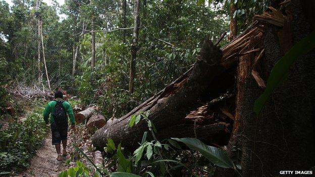 A member of the Ka'apor indigenous tribe walks with a rifle confiscated earlier in the day from a suspected illegal logger found on 3 November, 2014 in the Ka'apor Indigenous Reserve in Maranhao State, Brazil.