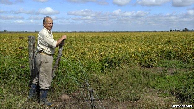 A man looks at a field sowed with soya beans in Santa Clara de la Buena Vista, Argentina on 11 April, 2012