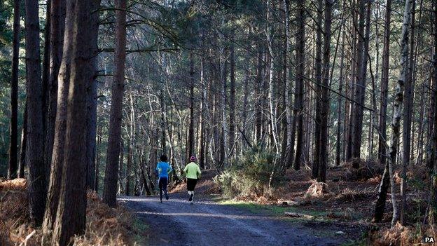 Runners in Bracknell Forest, Berkshire