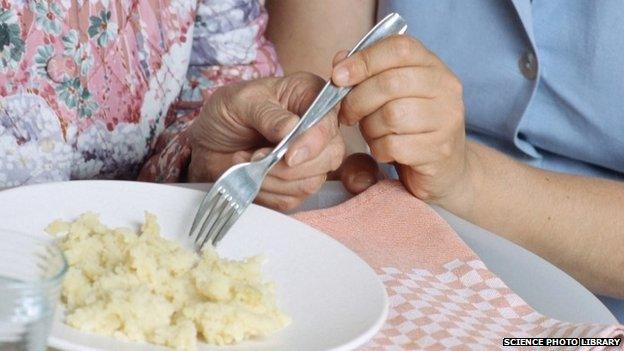 Nurse helping an elderly woman with a meal