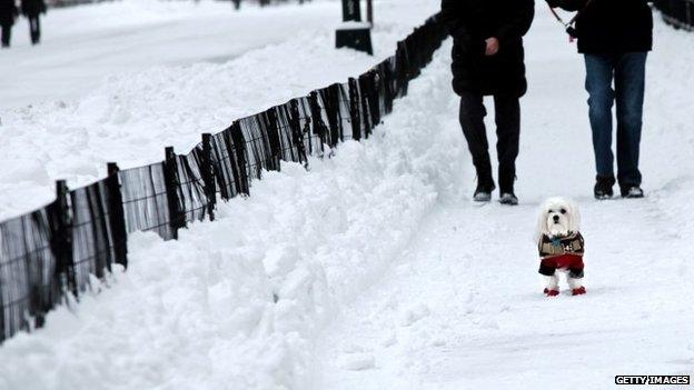 Passersby walk their dog an accumulation of snow on January 27, 2015 in Central Park in New York.