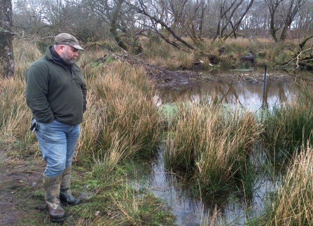 Derek Gow looking at a beaver lodge