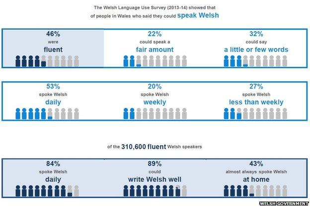 Welsh language survey infographic