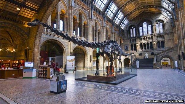 Dippy dinosaur