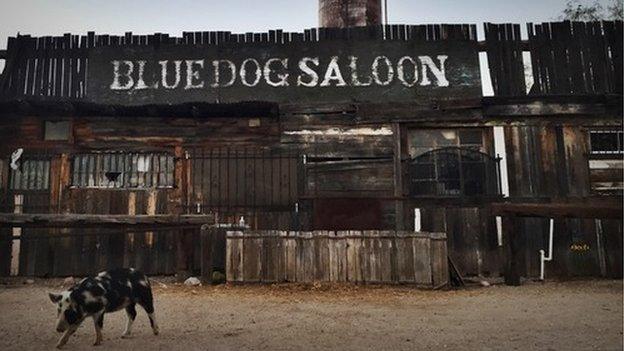 Blue Dog Saloon