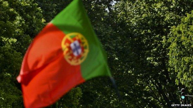 Portuguese flag at anniversary rally 40 years after the Carnation Revolution, on 25 April 2014