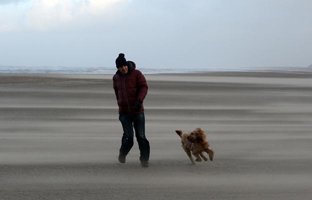Man and dog on Blackpool beach in wind