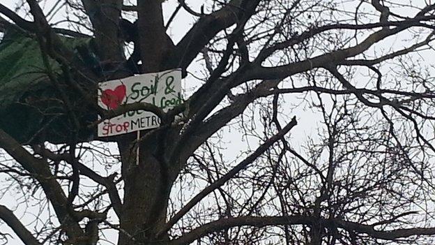 Tree protest