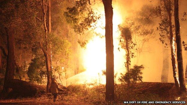 Bushfire at Northcliffe, Western Australia. Feb 2015