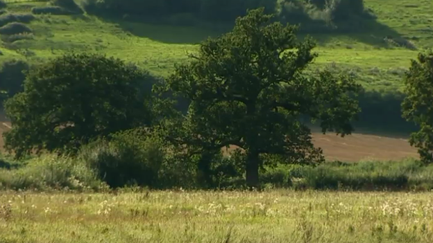 Land near Lisvane, Cardiff