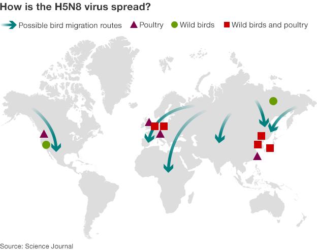 Detections of the virus in 2014