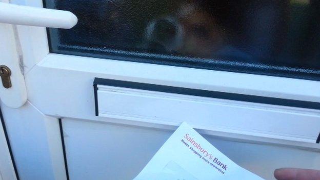 Dog and letterbox