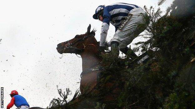 Teaforthree falls at Aintree in 2014