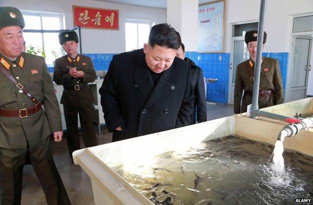 Kim Jong Un (C) visiting a catfish farm, December 2014.